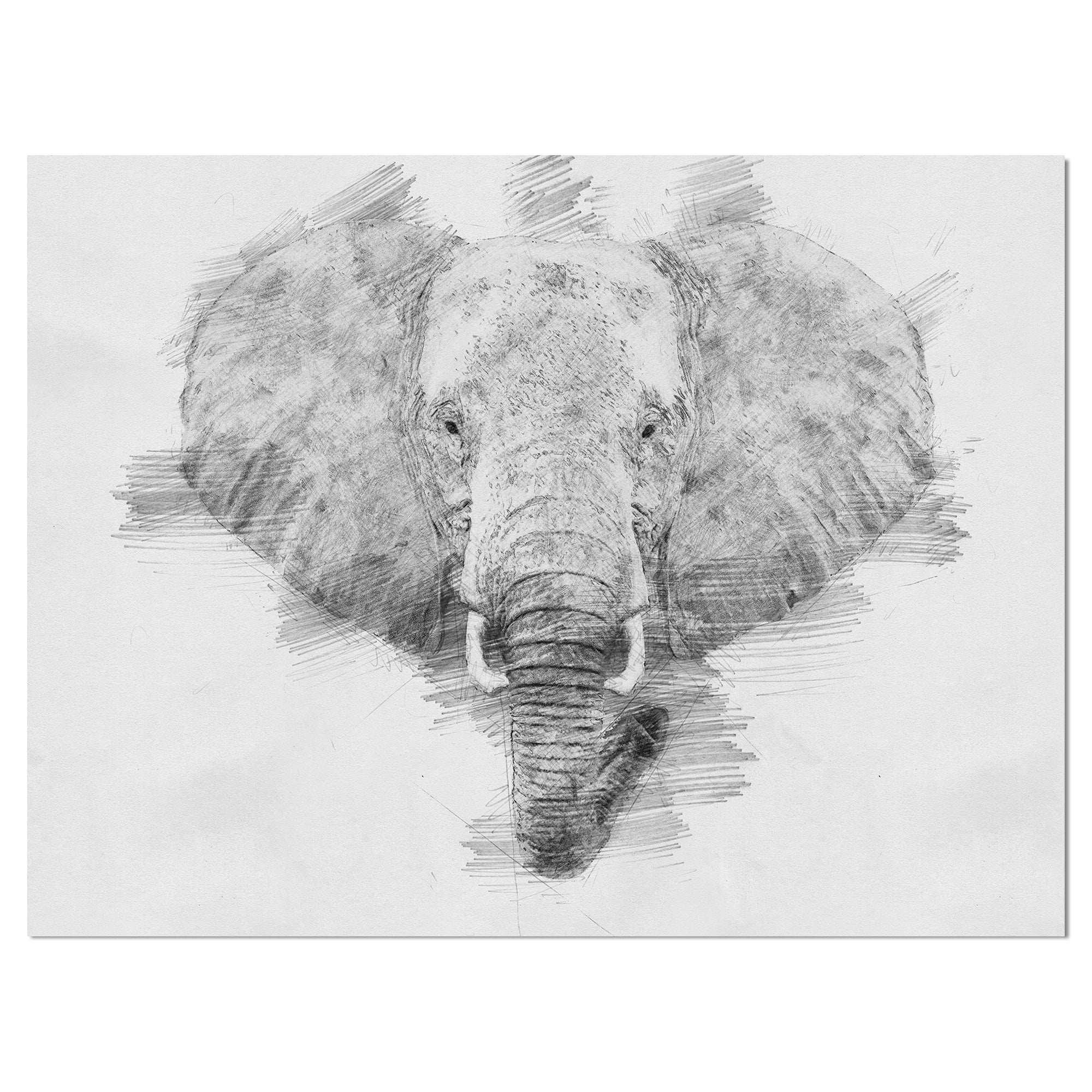 DESIGN ART Designart 'Elephant in Pencil Sketch' Sketch Animals Print on  Wrapped Canvas - Grey 12 in. wide x 8 in. high 