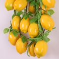 thumbnail image 4 of 5 piezas de decoración de jardín para el hogar coloridas frutas artificiales/verduras cuerdas 9 Zulema Las frutas / hortalizas cuerdas, 4 of 7