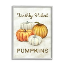 Stupell Industries Freshly Picked Pumpkins Phrase Orange White Pumpkin Harvest, 16 x 20,Design by Ziwei Li