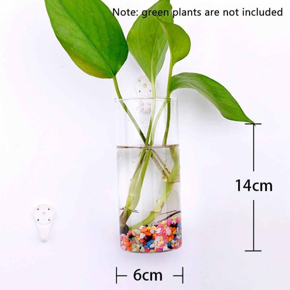 Square Hydroponic Hanging Planter 25cm Nursery Pot Glass Flower Vase Decor 