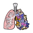 thumbnail image 3 of Broche esmaltado de órganos , novedad, alfileres de solapa de Metal pequeños decorativos, regalo de joyería para bufanda, camisa, Doctor, blusa pulmón de mariposa, 3 of 8