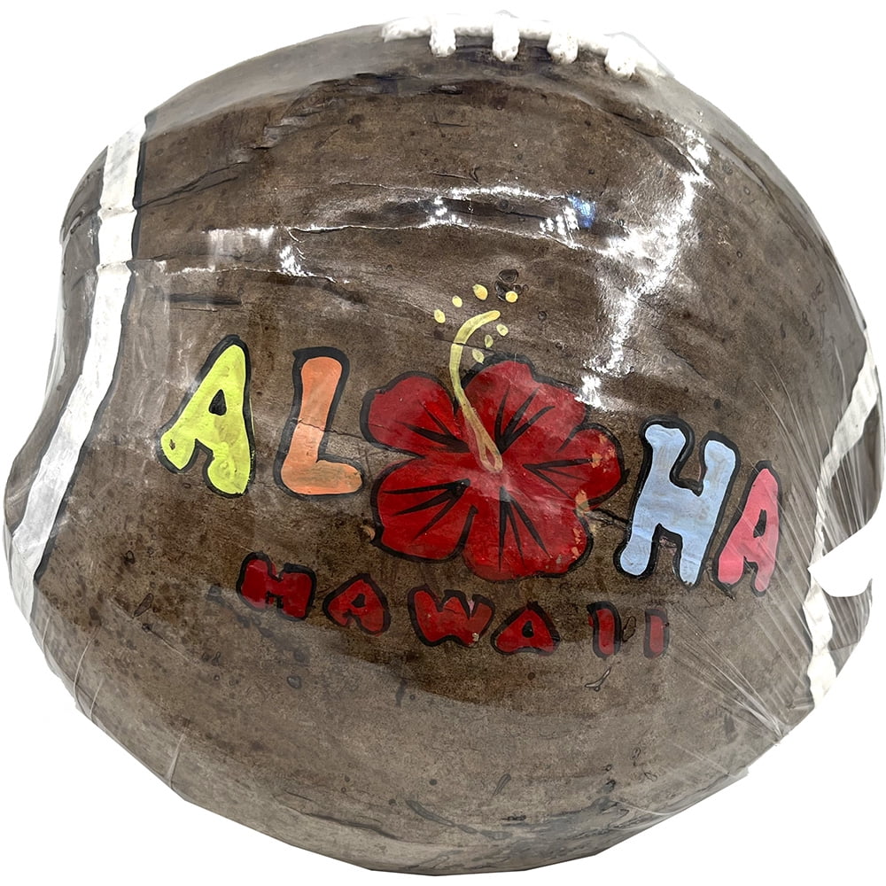 South Seas Native Treasures Real Coconut Football Money Bank