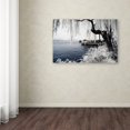 thumbnail image 3 of Trademark Fine Art "Lake Winter" Canvas Art by Philippe Hugonnard, 3 of 3
