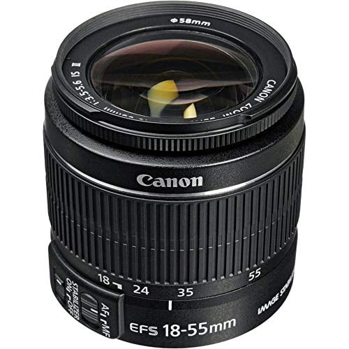 Canon EF-S 18-55mm f/3.5-5.6 IS STM Lens - Walmart.com