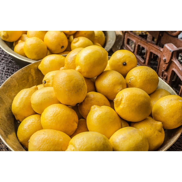 Sanniti Lemon Juice, Not From Concentrate , 40 Lemons in Each