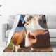 thumbnail image 1 of Balery Blue Sky Meadow Cute Cow Manta de Felpa Suave y Acogedora – Cobija de Franela Aterciopelada para Cama, Lavable y Cálida para Sofá, Mascotas, Transpirable-60"x50", 1 of 7