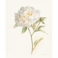 thumbnail image 3 of Nai, Danhui 15x18 Black Modern Framed Museum Art Print Titled - Garden Peony, 3 of 5
