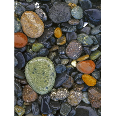 Stones, Lopez Island, Agate Beach County, Washington, USA Print Wall Art By Charles