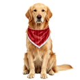 thumbnail image 4 of Kelon Christmas Dog Bandana, Matching Pet Holiday Bandana, Silk Satin Christmas Dog Scarf for Dogs, Pet Christmas Outfit Accessories for Family Pajamas Photos, 4 of 4