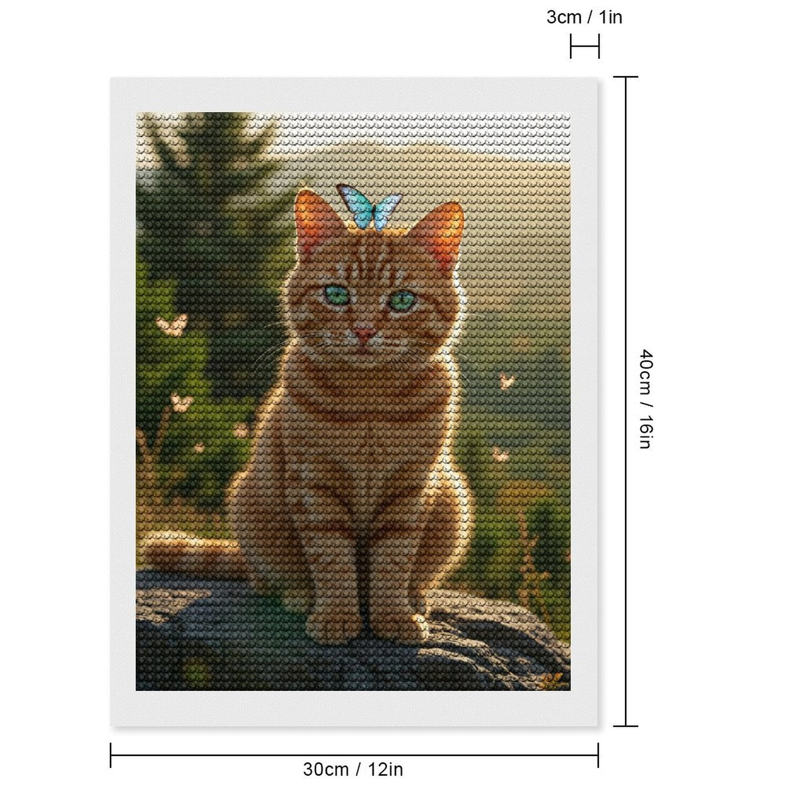 Diamond Art Kits for Adults, Orange Cat Butterfly Nature Scene 5D Diamond Painting Kits for Adults Beginners, DIY Full Drill Diamond Painting, Gem Art and Crafts 12x16