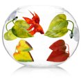 thumbnail image 4 of Betta Resting Spot, Simulation Betta Fish Leaf Plastic Lightweight Easy Cleaning  For Fish, 4 of 8