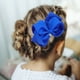 thumbnail image 2 of 20 piezas de accesorios para el cabello azules, lazos, pinzas, coleteros, diademas para niñas, 2 of 8