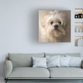 thumbnail image 2 of Trademark Fine Art Lois Bryan Maltese Puppy Portrait Canvas Wall Art - 24x24, 2 of 5
