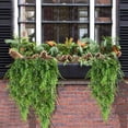 thumbnail image 4 of Ludlz 2pcs Artificial Plants Ferns Fake Vines Hanging Ivy Decor Plastic Greenery for Wall Indoor Outdoor Hanging Baskets Wedding Garland Decor, 4 of 7