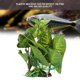 thumbnail image 5 of Plantas de tanque de peces de plantas altas hierba de agua de plástico paisaje de caja de reptiles para todos los peces decoración de acuario peces ornamentales Octpeak Otros, 5 of 8