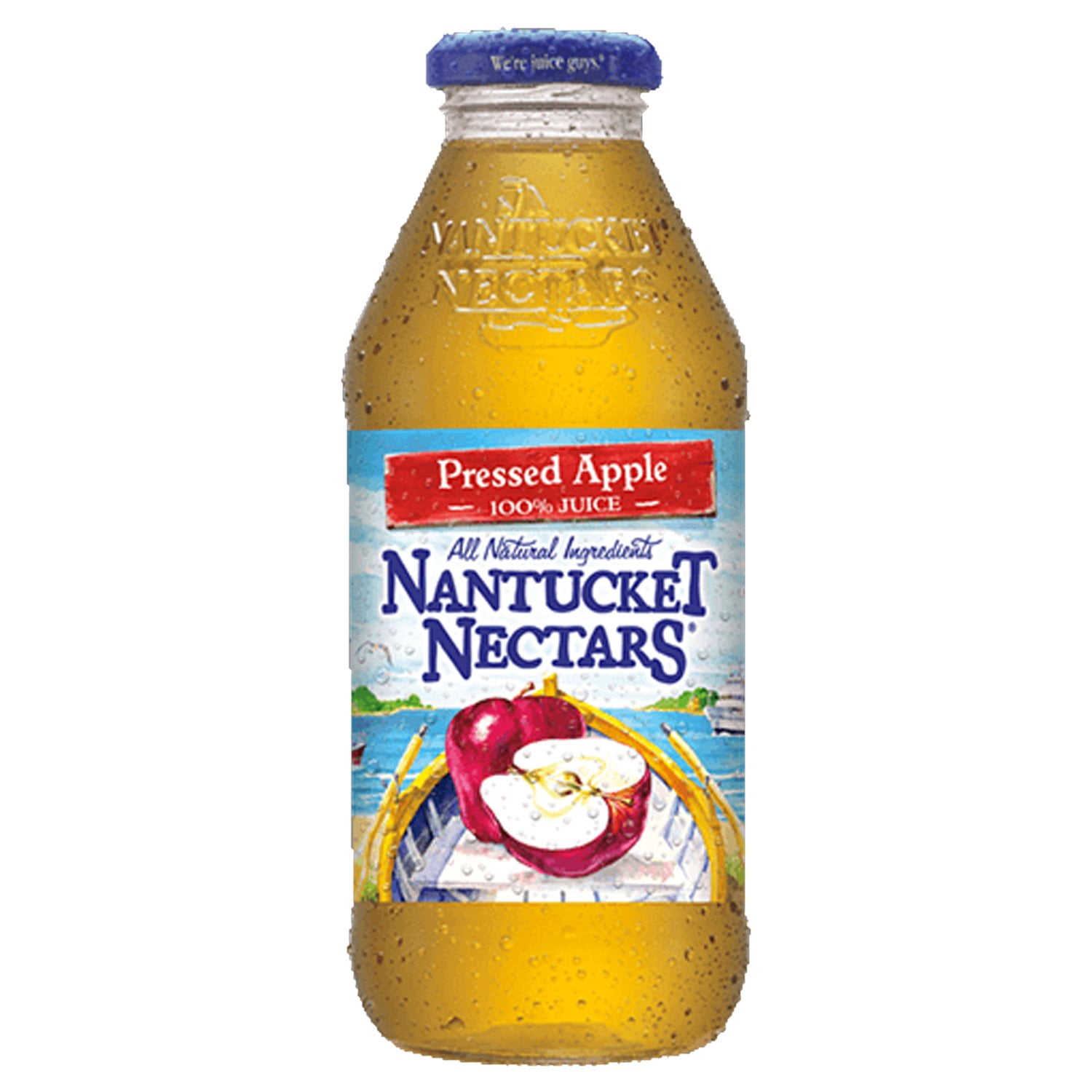 Nantucket Nectars Pressed Apple Juice, 16 fl oz (12 Glass Bottles
