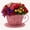 Pink, variant on 12 Inch Antique Metal Teacup Planter, Rustic Iron Teapot Flower Pot with Floral Cutouts for Garden Patio Decor(Blue)