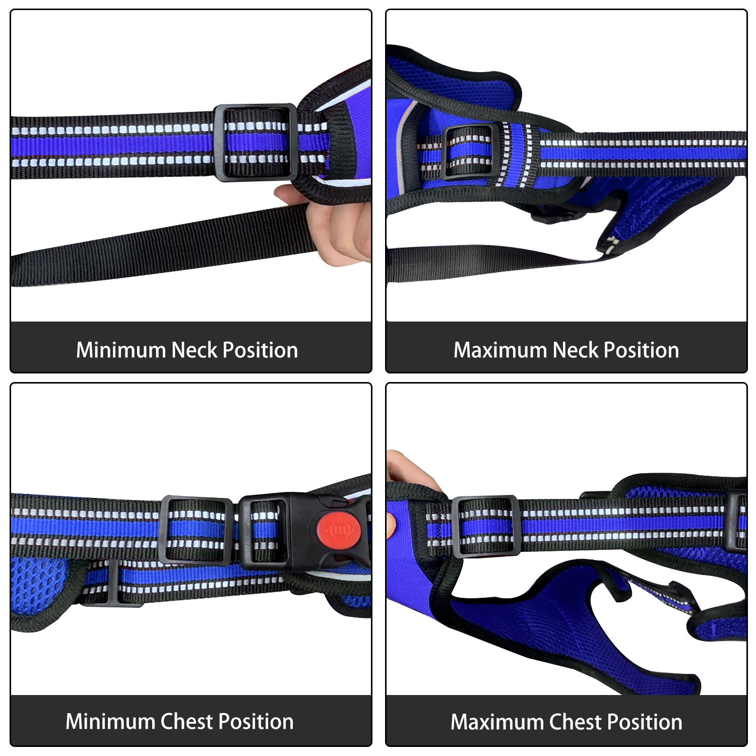 Astarin No-Pull Dog Harness, Small, Blue photo 4