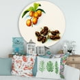 thumbnail image 2 of Designart 'Ancient Fruits IV' Farmhouse Circle Metal Wall Art 36x36 - Disc of 36, 2 of 5
