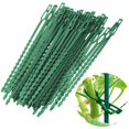 thumbnail image 2 of Lazos para Plantas Lazos de Jardinería Ajustables, 150 Piezas Lazos y Soportes para Plantas Versalles, Ayudan a Apoyar Plantas y Arbustos, Lazos de Plástico Flexibles (3 Tamaños), 2 of 5