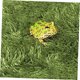 thumbnail image 5 of USHOBE Alfombra Para Jaula De Reptiles Color Con Textura Natural De, 5 of 8