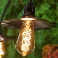 thumbnail image 5 of Wintergreen Lighting ST64 FlexFilament LED Filament Bulb, 5W Vintage LED Edison Bulb, Antiqued Finish, 5 of 6