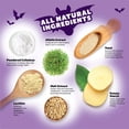 thumbnail image 6 of WHIMZEES by Wellness Halloween Natural Grain Free Dental Chews for Dogs, Medium Breed, 6 count, 6 of 11