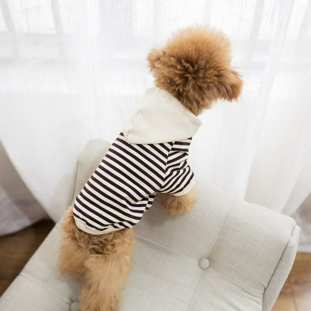 Ropa para mascotas Primavera y otoño Ropa para padres e hijos de algodón de rizo Ropa para gatos y perros con forma de cubo francés de peluche