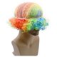 thumbnail image 5 of 2025 Latest Model Unisex Short Fluffy Afro Wigs-Women Men Kinky Curly Disco, 5 of 5