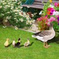 thumbnail image 5 of 5 Pack Vivid Duck Yard Art Sign Outdoor Garden Stake Landscape Decor Ornament, 5 of 6