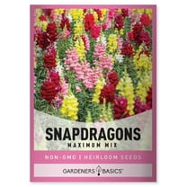Tetra Mix Snapdragon Seeds