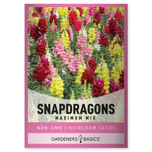 Tetra Mix Snapdragon Seeds