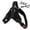 Black-L, variant on Dog Harness, Purple No Pull Adjustable Pet Harness with Leash, 1 Pack Padded Breathable Nylon Harness for Small Medium Large Dogs Daily Walking Training Outdoor