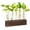 Brown, variant on KAXYEW Plant Propagation Station, Plants Propagation Tubes, Gifts for Plant Lovers, Plants Cutting Holder Test Tube Vase Office Desk Garden Décor Gift for Her Mom Women Hydroponic Vase New Gift Box