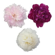 Assorted Colors Peonies - Fresh Cut Flowers - 50 Stems