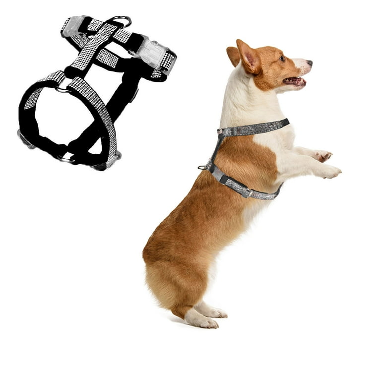 Dog harness sale with neck buckle