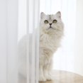 thumbnail image 2 of White Sheer Curtains for Window 84 Inches Long 2 Piece White Sheer Curtains Shee, 2 of 5