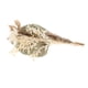 thumbnail image 3 of Hojas s Pampas Grass 40cm Bundle Branches Palm Reed Bouquet Mixto para fiesta Boda Fotografía Arreglos florales Decoración Conjunto A SM SunniMix Hierba de pampa seca, 3 of 8