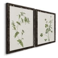 thumbnail image 3 of Wispy Botanical I - Premium Framed Canvas 2 Piece Set - Ready to Hang, 3 of 7