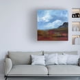 thumbnail image 3 of Karen Suderman 'Token' Canvas Art, 3 of 4