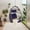 Dark Blue+Grey, variant on AOOWOW Hanging Egg Chair Without Stand, Wicker Swing Chair with Cushion, 350lbs Capacity Indoor Outdoor Khaki Chair