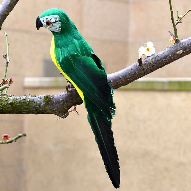 Nvzi 1 pieza de pájaros artificiales de 9,9 pulgadas, loro realista con modelo de decoración de loro con plumas realistas para manualidades de decoración, vientre verde amarillo A
