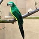 thumbnail image 1 of Nvzi 1 pieza de pájaros artificiales de 9,9 pulgadas, loro realista con modelo de decoración de loro con plumas realistas para manualidades de decoración, vientre verde amarillo A, 1 of 4