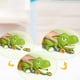 thumbnail image 5 of Dinosaurio devorador de coches Camión portacoches Juguetes interactivos de dinosaurios Educación temprana con 2 minicoches, 5 of 9