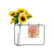 thumbnail image 1 of Pintura al Oleo Arte Bodegon de flores de verano Tarjeta de bendición de jarrón de girasol artificial, 1 of 3
