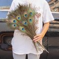 thumbnail image 3 of 10 plumas de pavo real reales de 25 a 50 cm para manualidades, joyería, jarrón, decoración de mesa, pluma para escenario, accesorios para vestidos de boda, 3 of 5