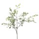 thumbnail image 2 of Planta Artificial Planta Verde Nandina Simulación Planta Rama Decoración Del Hogar, 2 of 8