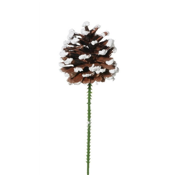Pinecone Picks Snowtip 2.25 Inches
