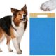 thumbnail image 1 of Almohadilla para rascar para perros Salvador Juguete para Uñas Rascador Azul, 1 of 10