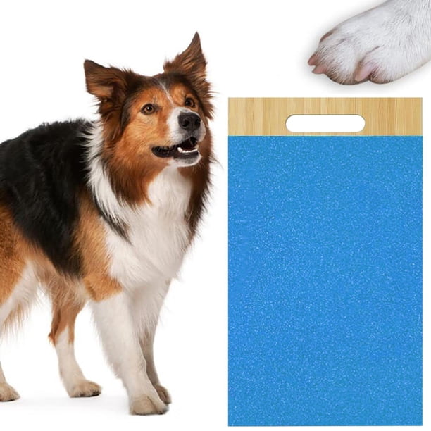 Almohadilla para rascar para perros Salvador Juguete para Uñas Rascador Azul